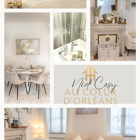 Le Nid Cosy -Au Coeur D'Orleans Apartment Bagian luar foto