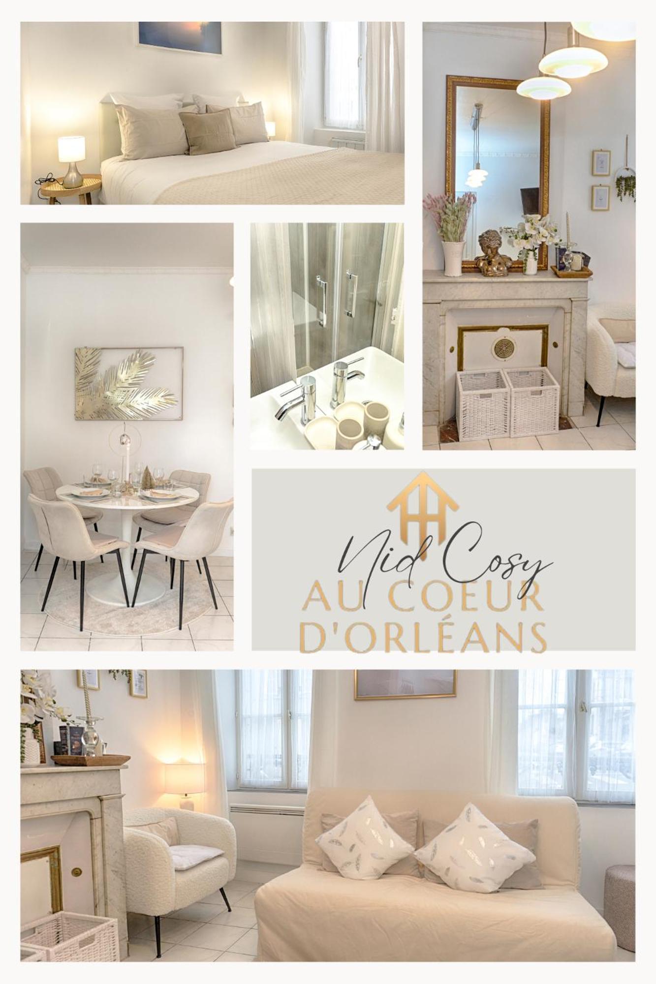 Le Nid Cosy -Au Coeur D'Orleans Apartment Bagian luar foto